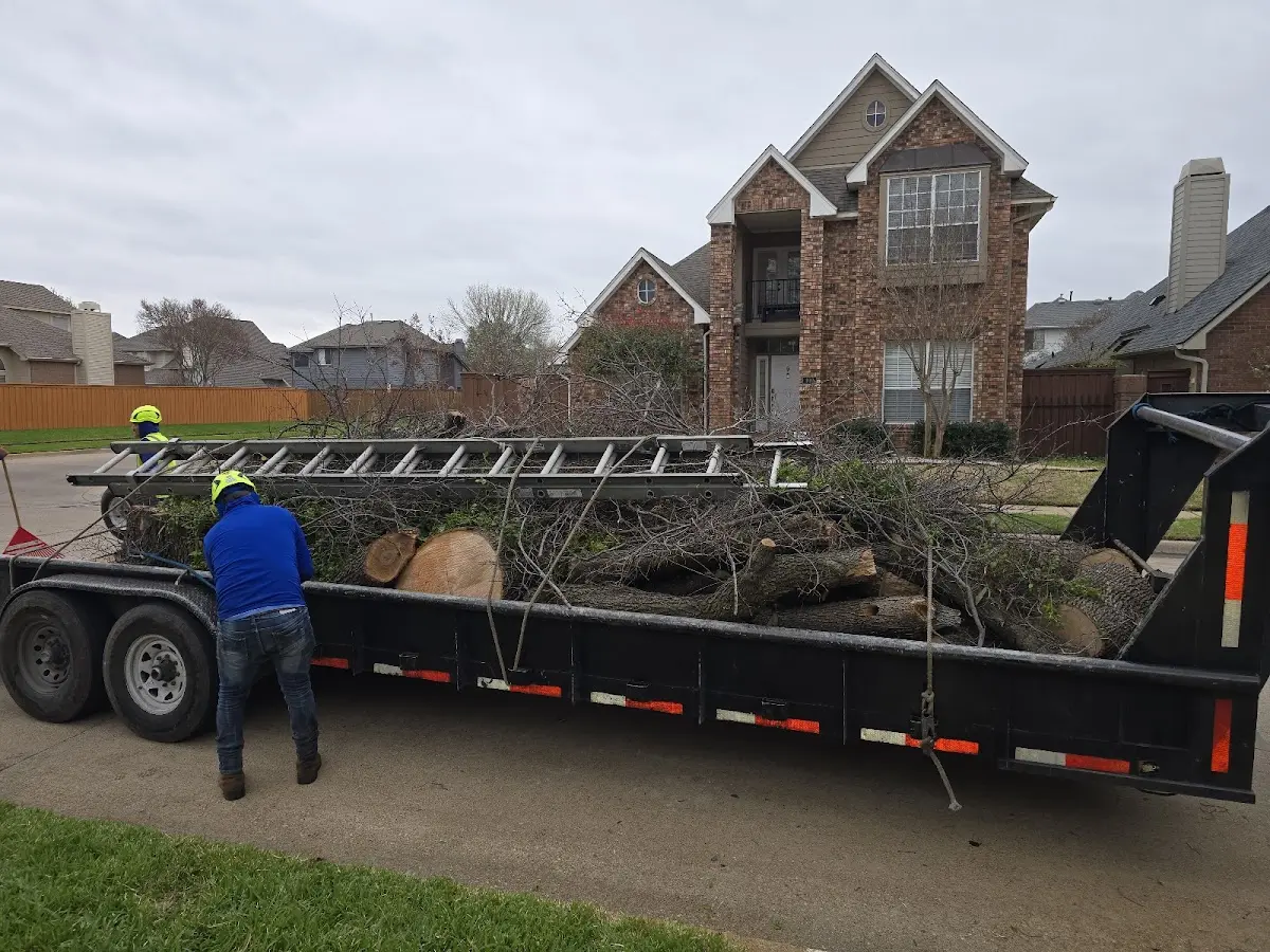 Expert Tree Pest Control with proper safety equipment in New Portland